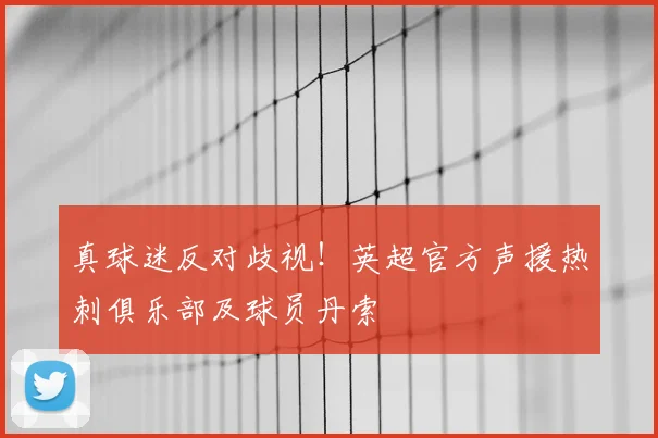 真球迷反对歧视！英超官方声援热刺俱乐部及球员丹索