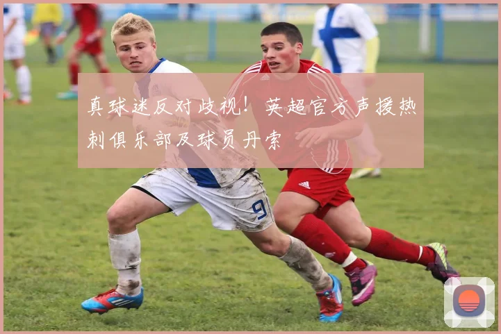 真球迷反对歧视！英超官方声援热刺俱乐部及球员丹索