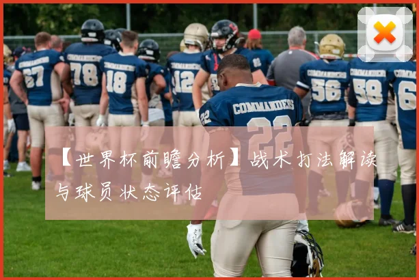 【世界杯前瞻分析】战术打法解读与球员状态评估