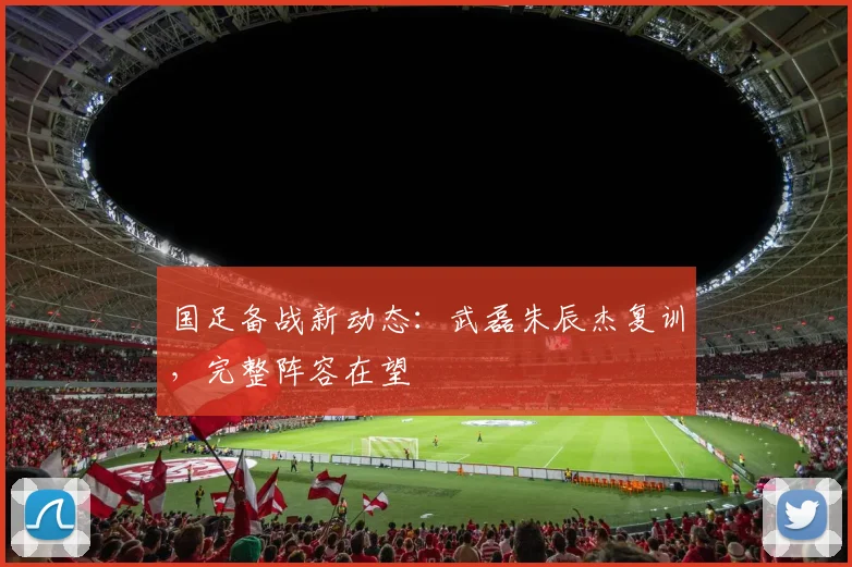 国足备战新动态：武磊朱辰杰复训，完整阵容在望