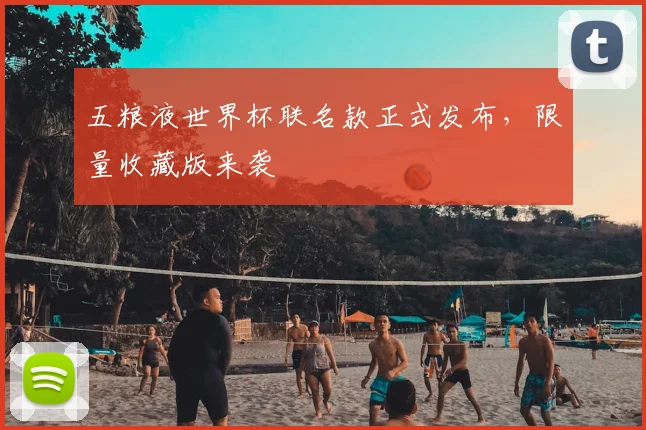 五粮液世界杯联名款正式发布，限量收藏版来袭