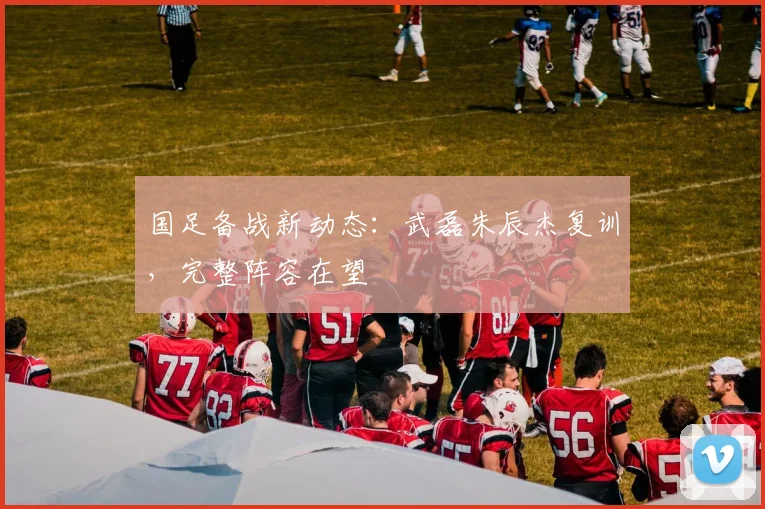 国足备战新动态：武磊朱辰杰复训，完整阵容在望