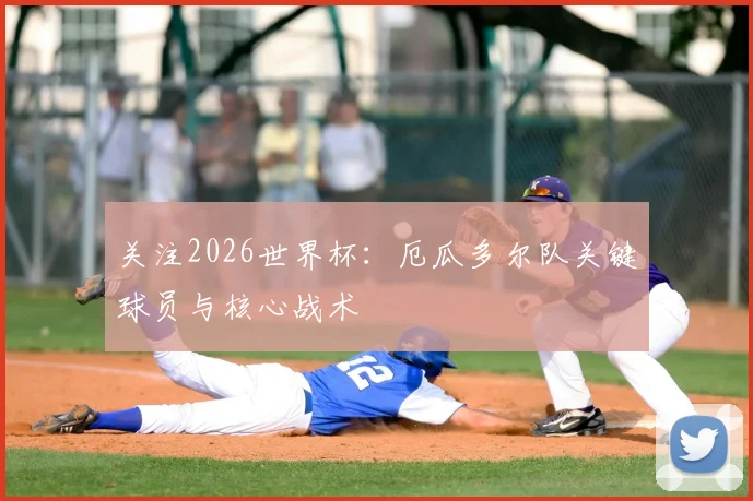 关注2026世界杯：厄瓜多尔队关键球员与核心战术