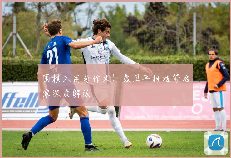 围棋入高考作文！聂卫平柯洁等名家深度解读